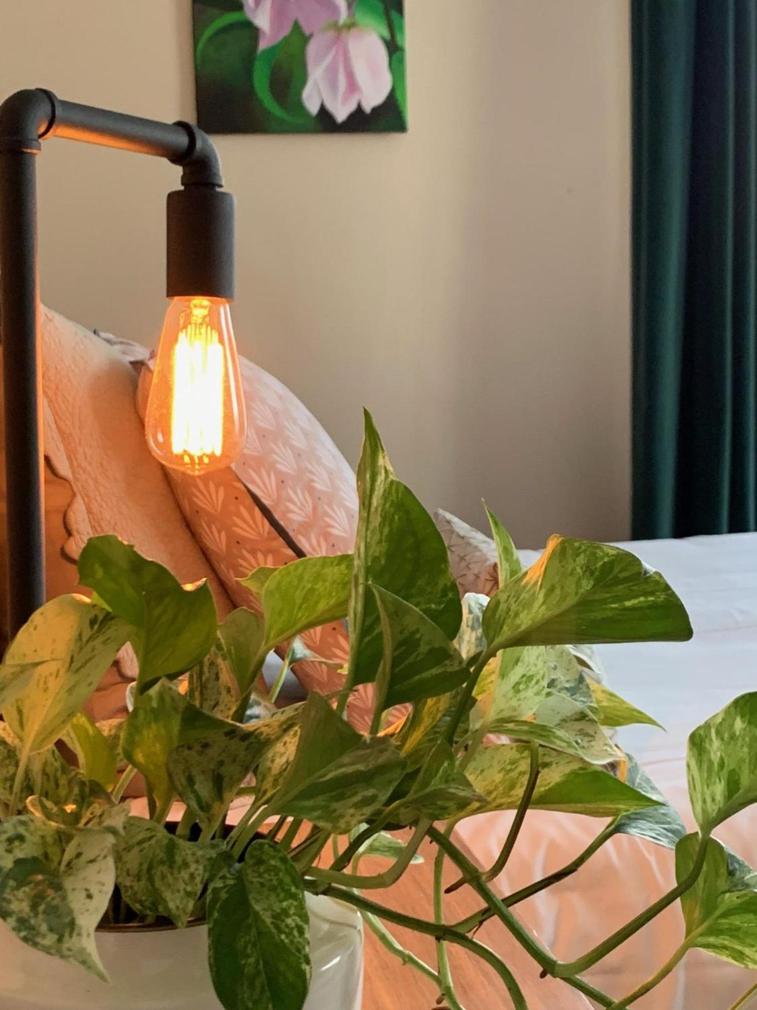 Bed and Breakfast Le 14 St Michel Josselin Camera foto