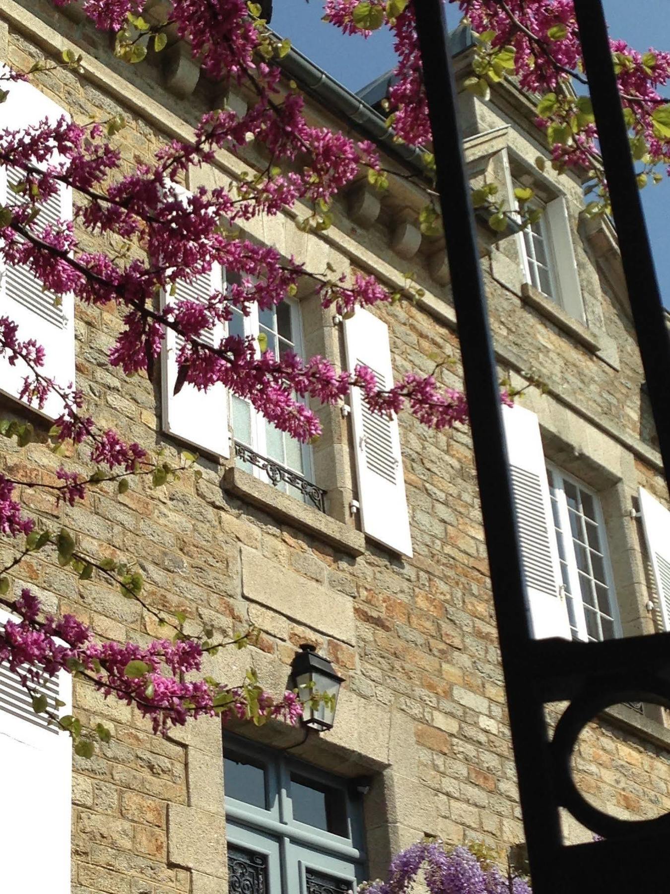 Bed and Breakfast Le 14 St Michel Josselin Esterno foto